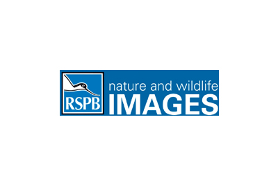 © RSPB